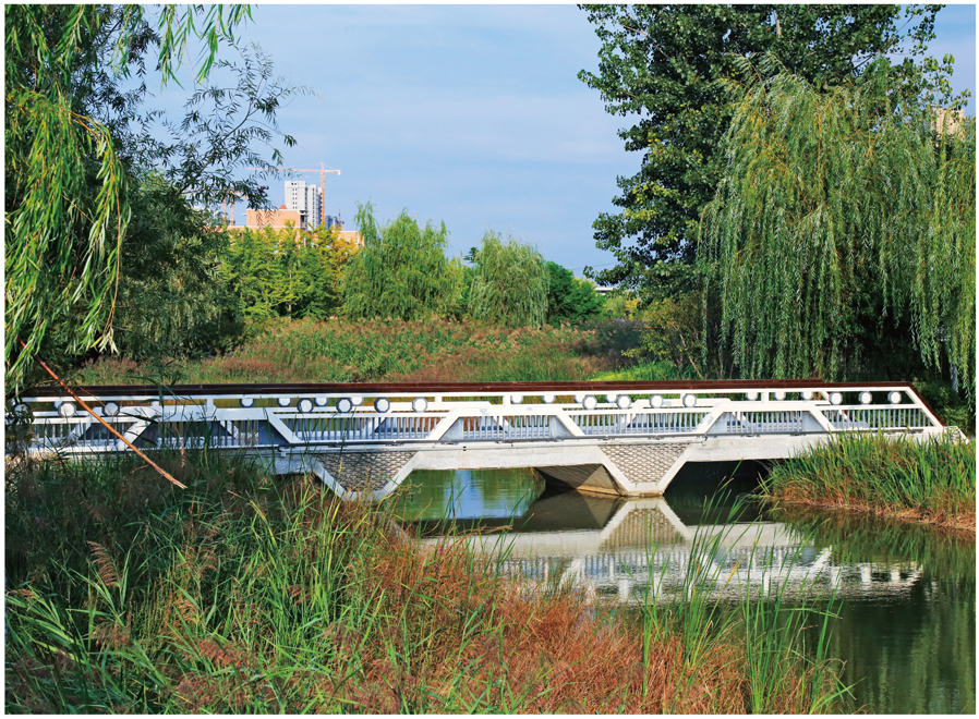 先进的管理体系