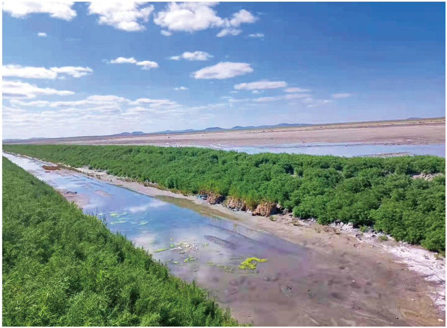 界首市两湾国家湿地公园生态修复工程